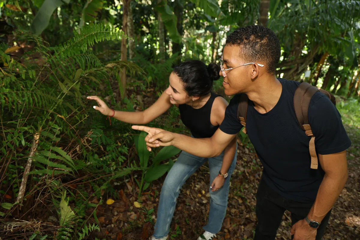 Estudiantes visitan Jarabacoa y participan en experiencia formativa sobre medio ambiente