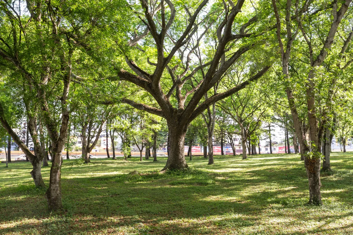 Campus de Santiago PUCMM es presentado como modelo sostenible en Congreso de la ADRU 2025