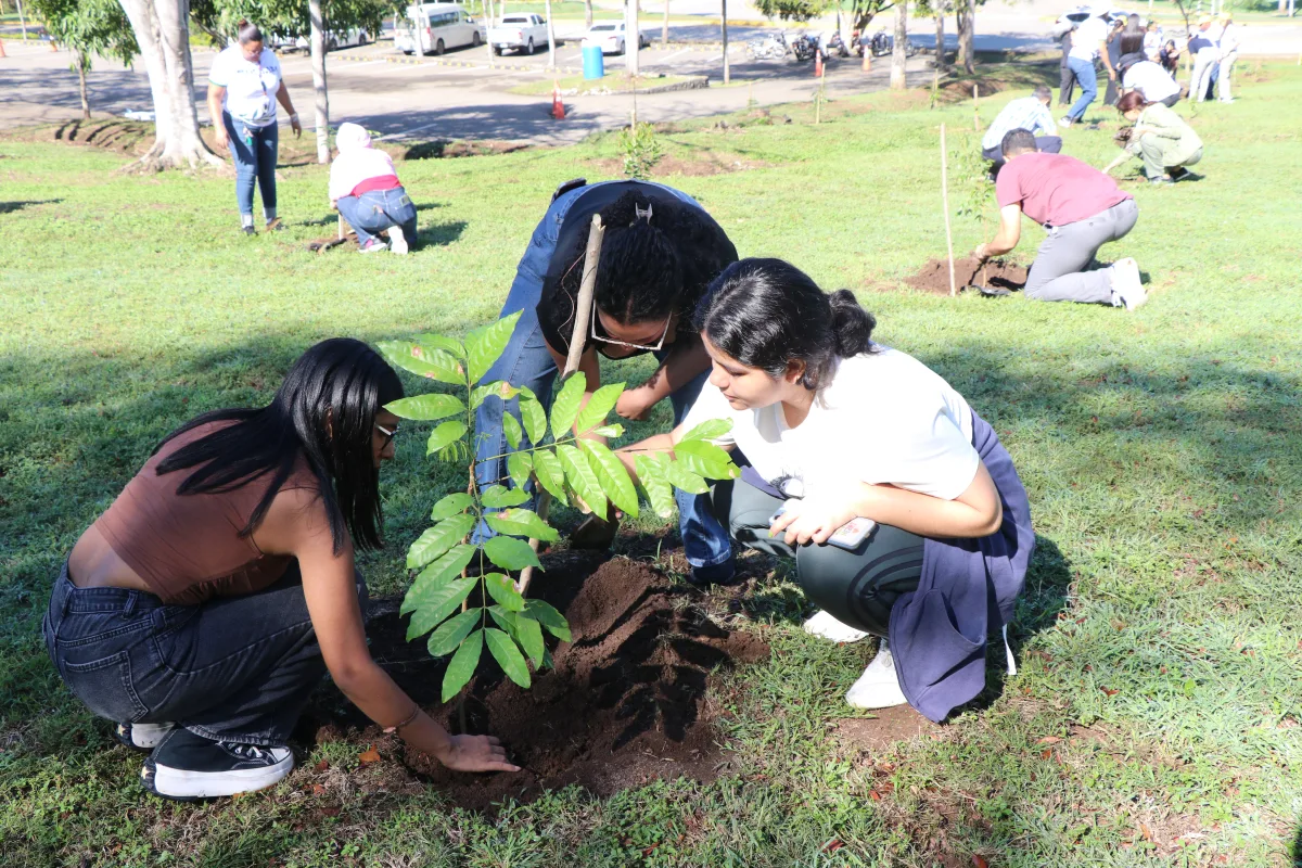 PUCMM lidera el QS Sustainability 2025 en RD y el Caribe